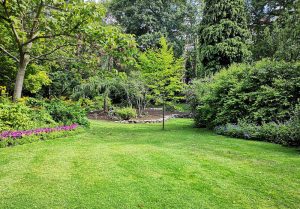 Optimiser l'expérience du jardin à Pressagny-l'Orgueilleux